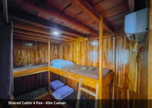 Shared Cabin (4 Guests)