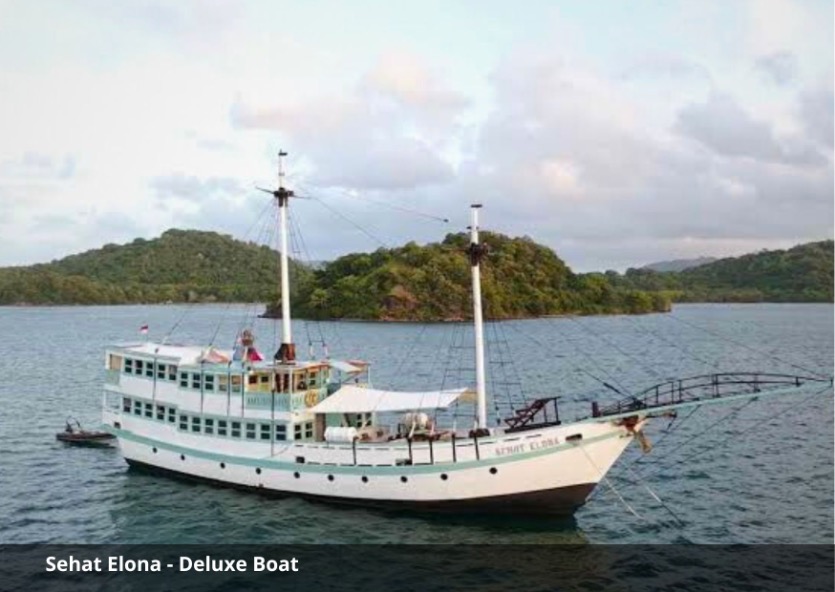 Sehat Elona Luxury Komodo Cruise 4D3N | Lombok to Labuan Bajo Sailing Trip