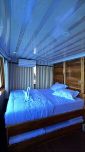 Whaleshark Cabin 2