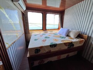 Whaleshark Cabin
